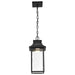 Pendant Nuvo 62-5996 Austen Collection - 1 Light Outdoor Hanging Fixture - LED - SMART - Starfish RGBTW - CCT Selectable - Matte Black - Clear Water Glass Nuvo