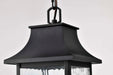 Pendant Nuvo 62-5996 Austen Collection - 1 Light Outdoor Hanging Fixture - LED - SMART - Starfish RGBTW - CCT Selectable - Matte Black - Clear Water Glass Nuvo