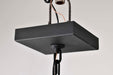 Pendant Nuvo 62-5996 Austen Collection - 1 Light Outdoor Hanging Fixture - LED - SMART - Starfish RGBTW - CCT Selectable - Matte Black - Clear Water Glass Nuvo