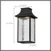 Pendant Nuvo 62-5996 Austen Collection - 1 Light Outdoor Hanging Fixture - LED - SMART - Starfish RGBTW - CCT Selectable - Matte Black - Clear Water Glass Nuvo