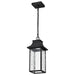 Pendant Nuvo 62-5996 Austen Collection - 1 Light Outdoor Hanging Fixture - LED - SMART - Starfish RGBTW - CCT Selectable - Matte Black - Clear Water Glass Nuvo