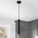 Pendant Nuvo 62-816 Century - 12 Watt - 16" - LED Pendant - Matte Black Finish Nuvo