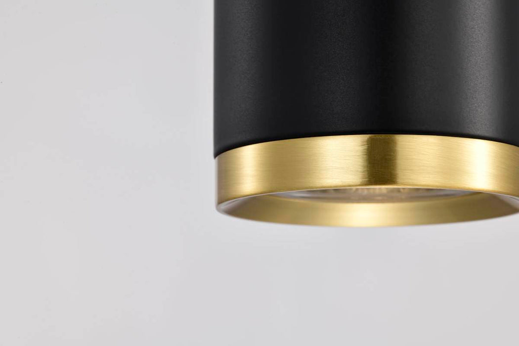 Pendant Nuvo 62-818 Century - 12 Watt - 16" - LED Pendant - Matte Black and Brushed Brass Finish Nuvo