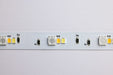 Tape Light Nuvo 64-111 Dimension Performer - Tape Light strip - 16 ft. - RGB plus Tunable White - J-Box connection - IR Remote Included - White Finish Nuvo