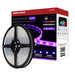 Tape Light Nuvo 64-141 Dimension Pro - Tape Light strip - 32 ft. - Hi-Output - RGB plus Tunable White - Plug connection - IP65 - Starfish IOT Capable - RF Remote Included - White Finish Nuvo