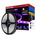 Tape Light Nuvo 64-143 Dimension Pro - Tape Light strip - 16 ft. - Hi-Output - RGB plus Tunable White - J-Box connection - IP65 - Starfish IOT Capable - RF Remote Included - White Finish Nuvo