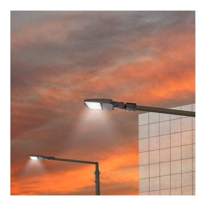 Area Light Nuvo 65-864-5 LED Area Light Type V - 200W - Bronze Finish - 4000K - 277-480V Nuvo