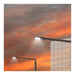 Area Light Nuvo 65-867 LED Area Light Type III - 240W - Bronze Finish - 5000K - 277-480V Nuvo