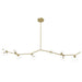 Chandelier Avenue Lighting HF4808-CLR Hampton 8-Light 60"W Chandelier in Brass/Clear Glass in Brushed Brass With Clear Glass Avenue Lighting