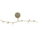 Chandelier Avenue Lighting HF4808-CLR Hampton 8-Light 60"W Chandelier in Brass/Clear Glass in Brushed Brass With Clear Glass Avenue Lighting