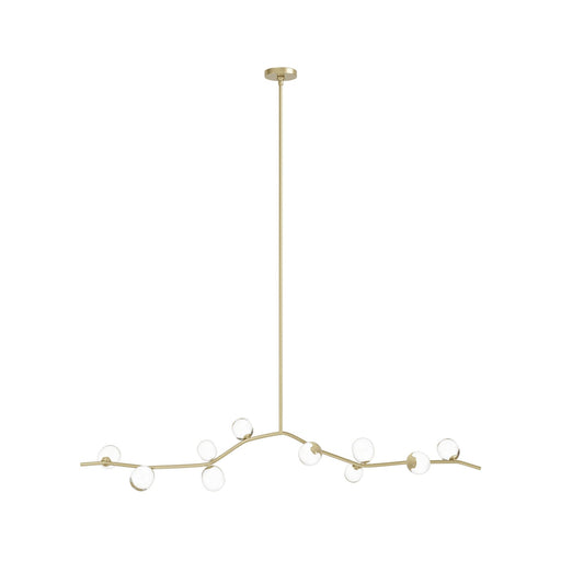 Chandelier Avenue Lighting HF4810-CLR Hampton 10-Light 78"W Chandelier Brass/Clear Glass in Brushed Brass With Clear Glass Avenue Lighting