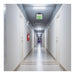 Exit Sign Nuvo 67-110 Green (Mirror) Edge Lit LED Exit Sign, 90min Ni-Cad backup, 120/277V, Dual Face, Top/Back/End Mount - Silver Finish Nuvo