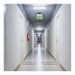 Exit Sign Nuvo 67-112 Green (Clear) Edge Lit LED Exit Sign, 90min Ni-Cad backup, 120/277V, Single Face, Top/Back/End Mount - Clear Finish Nuvo