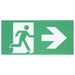 Exit Sign Satco 67-500 Running Man Green Exit Sign - 120-347V - 2HR backup - Single/Dual Face - Universal Mounting - Thermoplastic - White Finish Satco