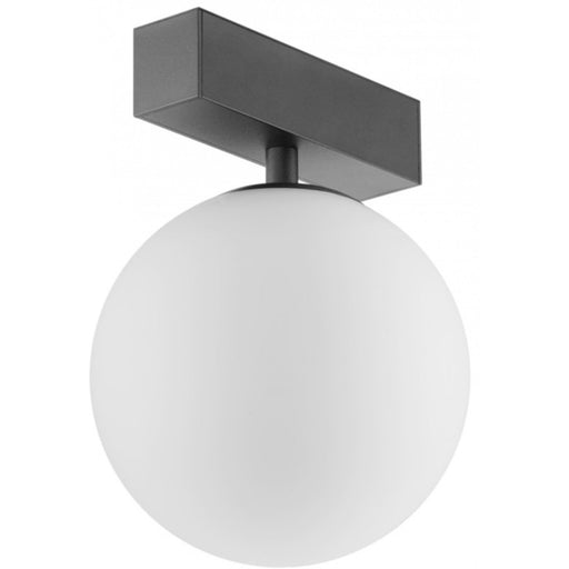 Track Lighting Avenue Lighting ML4100-BK Magnetix Round Globe Light/White Glass 5W in Black Avenue Lighting