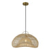 Pendant Forty West Designs 71308 Jagger Rattan Abstract Pendant Light Forty West Designs