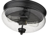 Flush Mount Z-Lite 722F2-MB Matte Black Amon 2 Light Flush Mount Z-Lite