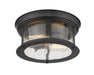 Flush Mount Z-Lite 727F10-MB Matte Black Sonna 2 Light Flush Mount Z-Lite