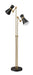 Floor Lamp Z-Lite 728FL-MB-HBR Matte Black + Heritage Brass Soriano 2 Light Floor Lamp Z-Lite