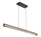 Eurofase 50058-013 Neoness 50" Matte Black LED Chandelier