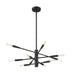 Chandelier Z-Lite 737-10MB Matte Black Ascension 10 Light Chandelier Z-Lite