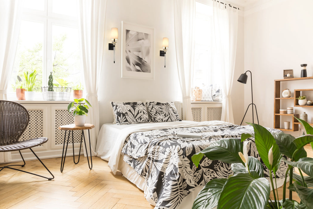 Wall Sconce Z-Lite 804-1S-MB Matte Black Ava 1 Light Wall Sconce Z-Lite