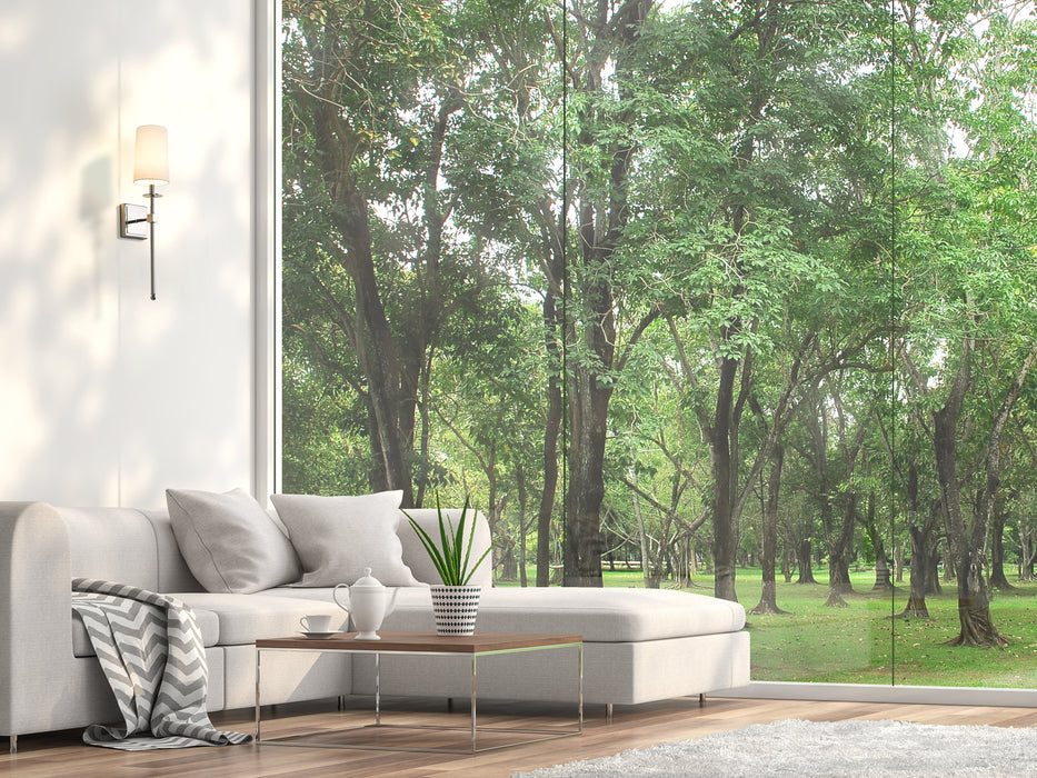 Wall Sconce Z-Lite 811-1S-PN Polished Nickel Camila 1 Light Wall Sconce Z-Lite