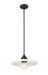 Pendant Z-Lite 820P14-MB Matte Black Paloma 1 Light Pendant Z-Lite