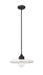 Pendant Z-Lite 820P14-MB Matte Black Paloma 1 Light Pendant Z-Lite