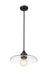 Pendant Z-Lite 821P14-MB Matte Black Paloma 1 Light Pendant Z-Lite