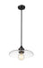 Pendant Z-Lite 821P14-MB Matte Black Paloma 1 Light Pendant Z-Lite