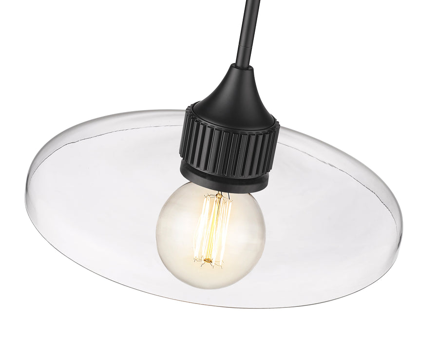 Pendant Z-Lite 821P14-MB Matte Black Paloma 1 Light Pendant Z-Lite