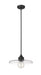 Pendant Z-Lite 821P14-MB Matte Black Paloma 1 Light Pendant Z-Lite