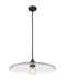 Pendant Z-Lite 821P24-MB Matte Black Paloma 1 Light Pendant Z-Lite