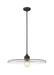 Pendant Z-Lite 821P24-MB Matte Black Paloma 1 Light Pendant Z-Lite