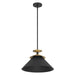 Pendant Light Thesis 207318A Tremolo 16 inch 1 light Textured Black and Champagne Gold Pendant Light THESIS