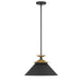 Pendant Light Thesis 207318A Tremolo 16 inch 1 light Textured Black and Champagne Gold Pendant Light THESIS