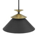 Pendant Light Thesis 207318A Tremolo 16 inch 1 light Textured Black and Champagne Gold Pendant Light THESIS