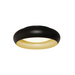 Black and gold ring on a white background