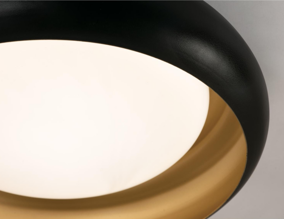 Close-up of a black and gold circular object with a light interior.