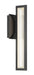 Outdoor Wall Sconce Eurofase 49179-019 Aelin 18 Inch LED Outdoor Wall Sconce Eurofase