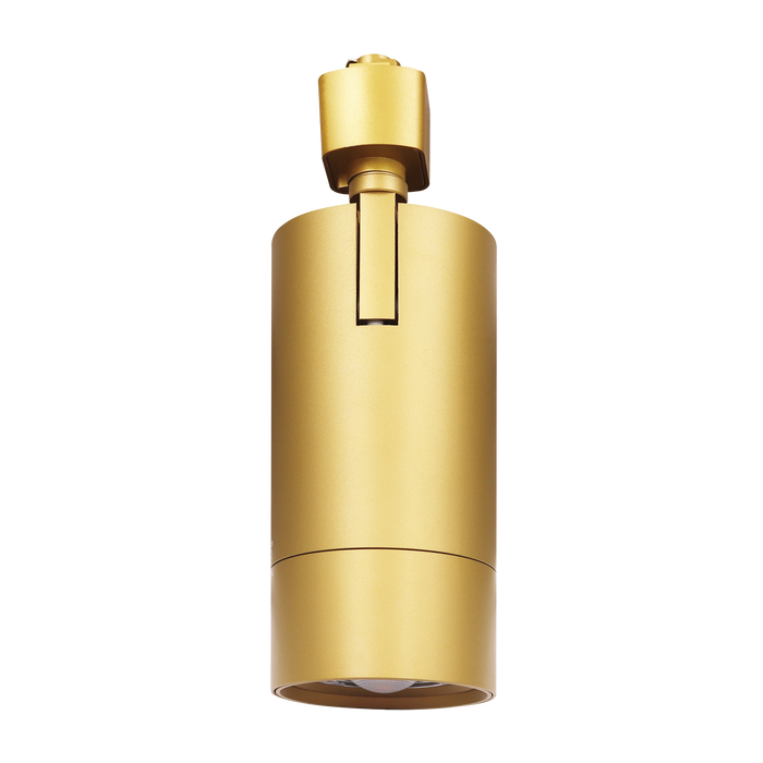 Luxrite LR43877 3" Zoomable H-Track Head - 5 CCT Selectable Brass Finish