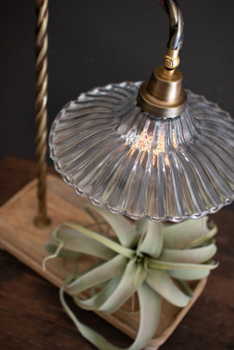 Table Lamp TABLE LAMP WITH WOODEN TRAY BASE AND GLASS SHADE Kalalou