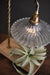 Table Lamp TABLE LAMP WITH WOODEN TRAY BASE AND GLASS SHADE Kalalou