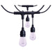 String Light Satco S11190 Starfish - 24 Foot LED String Light - 12-S14 Lamps - IOT - RGBTW - Black - 120 Volt Satco