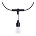 String Light Satco S11190 Starfish - 24 Foot LED String Light - 12-S14 Lamps - IOT - RGBTW - Black - 120 Volt Satco