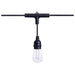 String Light Satco S11190 Starfish - 24 Foot LED String Light - 12-S14 Lamps - IOT - RGBTW - Black - 120 Volt Satco