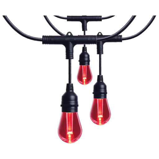 String Light Satco S11190 Starfish - 24 Foot LED String Light - 12-S14 Lamps - IOT - RGBTW - Black - 120 Volt Satco