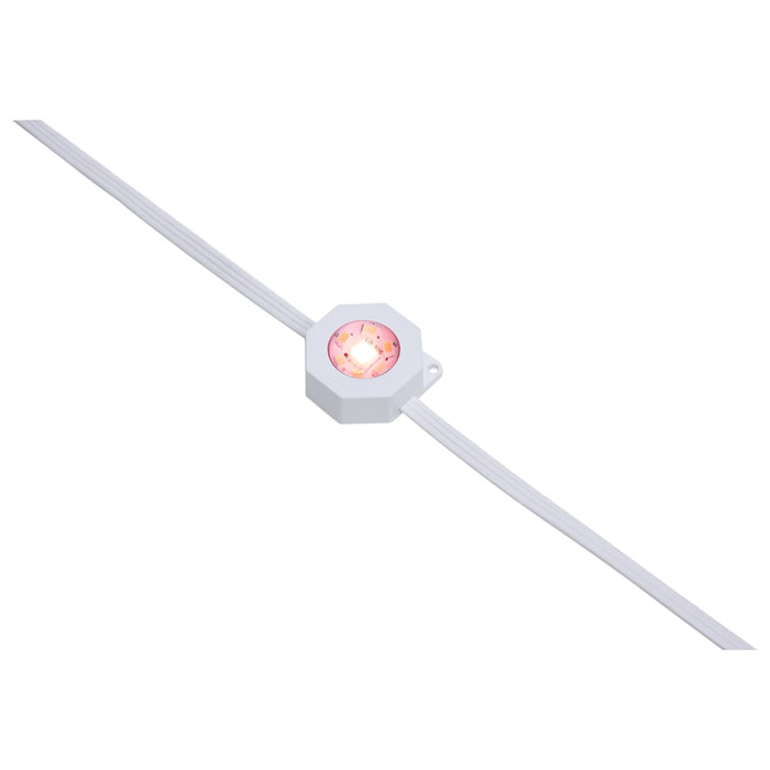 String Light Satco S11297 Starfish - 50 Foot LED Eave String Light - 24 Watt - RGBTW - 120 Volt - Remote Included Satco