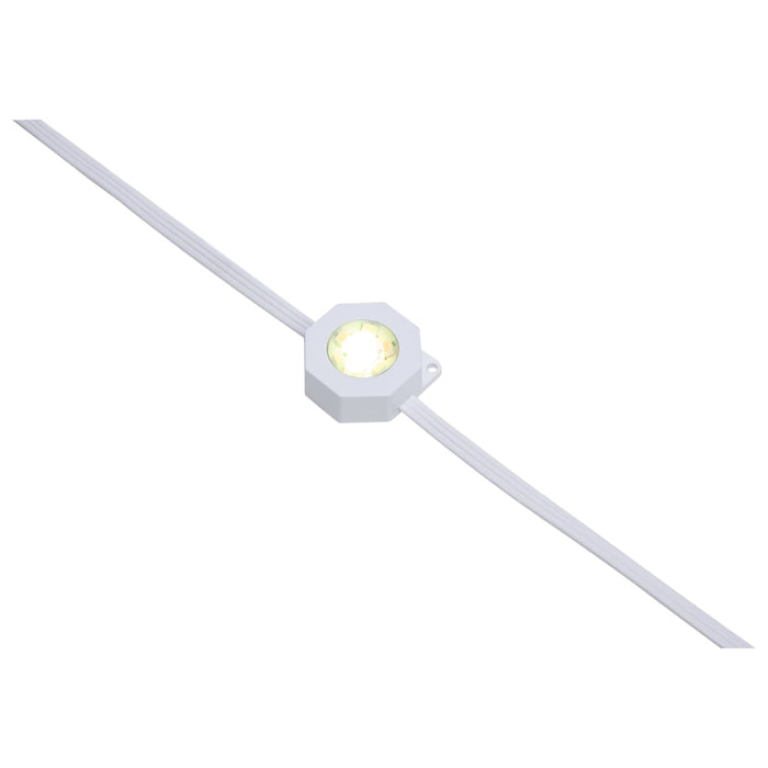 String Light Satco S11297 Starfish - 50 Foot LED Eave String Light - 24 Watt - RGBTW - 120 Volt - Remote Included Satco